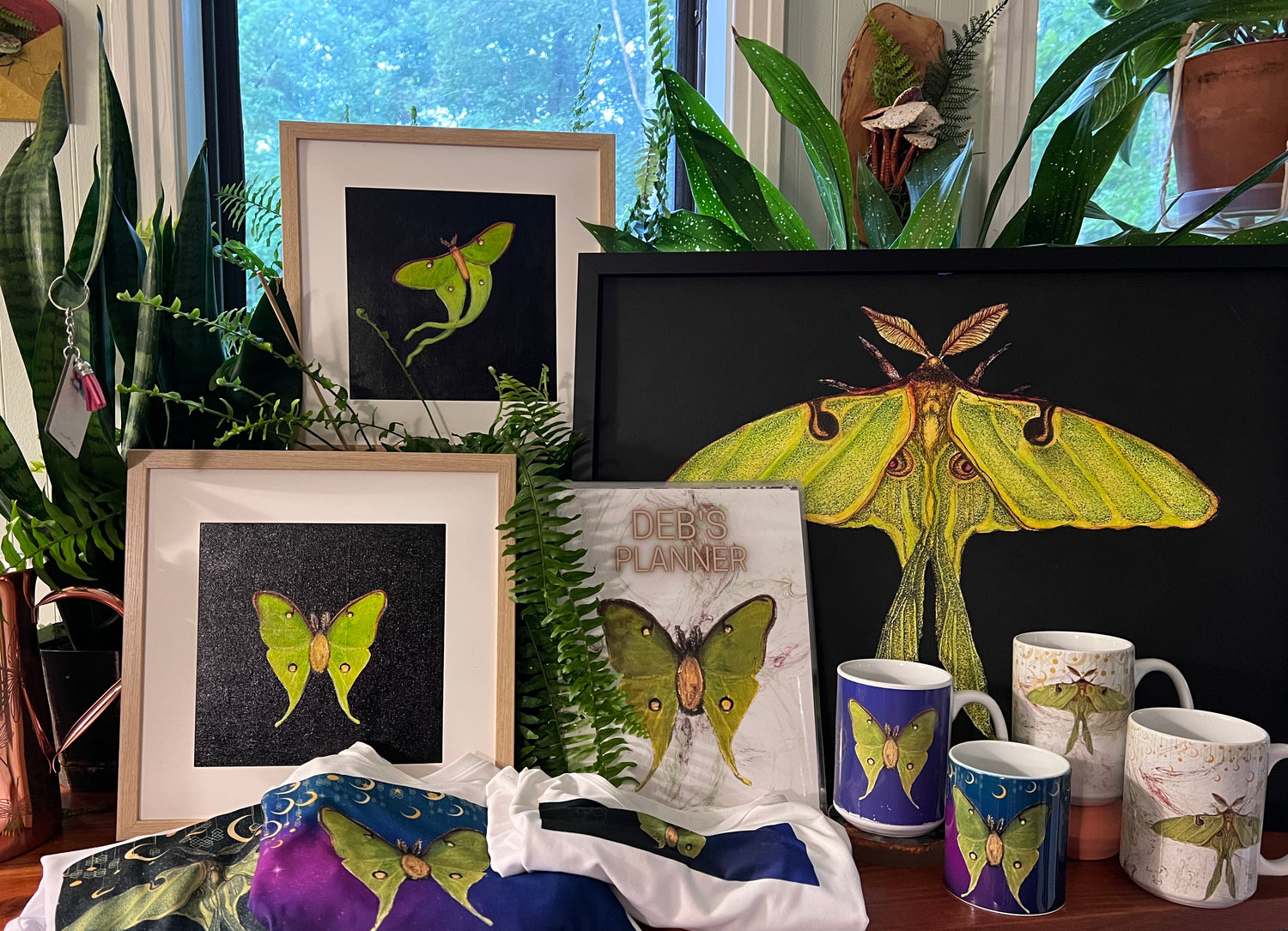 Luna Moth Collection