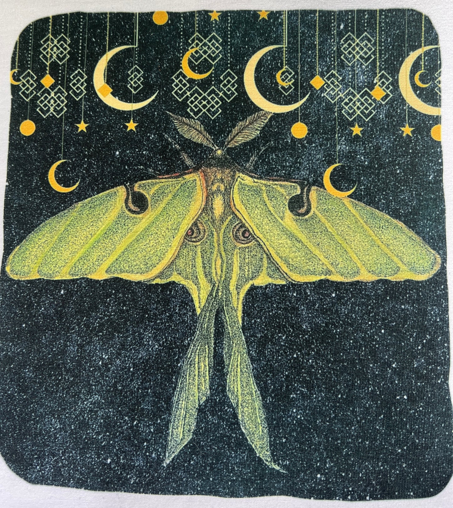 Short sleeve Luna Moth T-Shirt