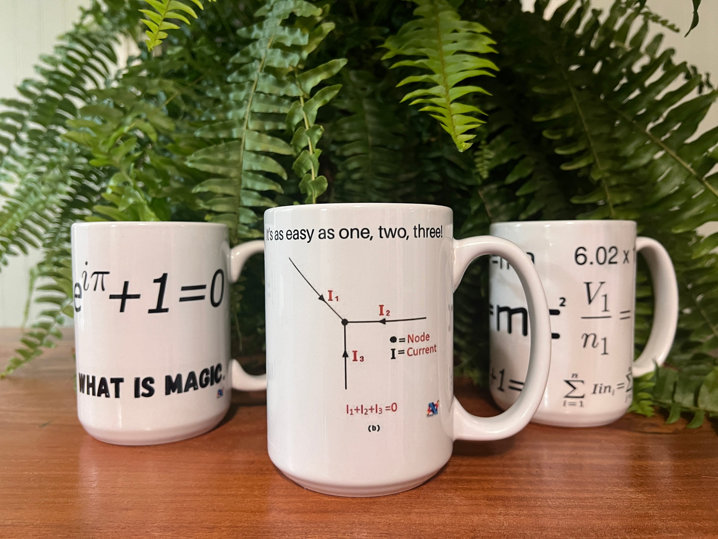 Fun Math Equation Mug