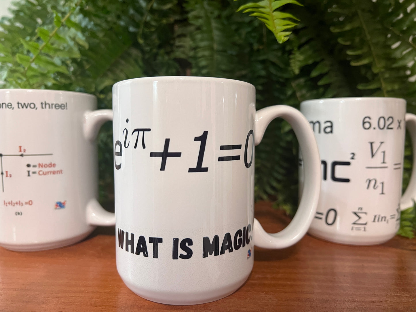 Euler's Identity Mug-It's Magic!